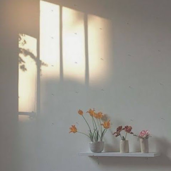 Meet your Posher, Carly - Picture 1 of 1